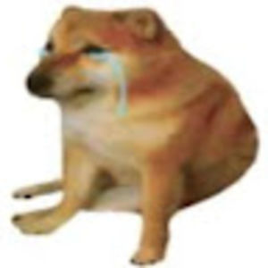 Meet your Posher, Gillian